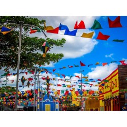 Venda de vinhos deve crescer no período de festa junina